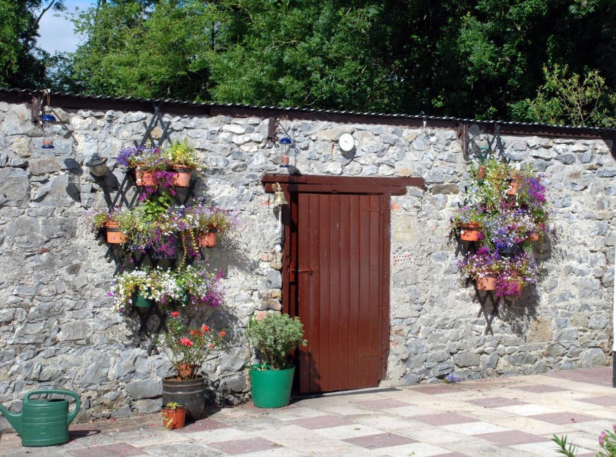 Desart School Garden Chalet Kilkenny Exterior foto